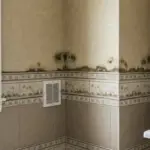 schimmel in huis voorkomen